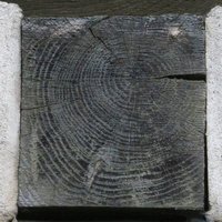 About de solive en bois de brin visible sur pan de bois à Poitiers